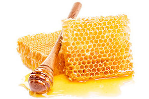 ΜΕΛΙΣΣΟΚΟΜΙΚΑ