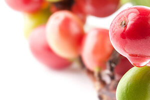 ΣΥΣΤΑΤΙΚΑ ΓΙΑ ΑΔΥΝΑΤΙΣΜΑ