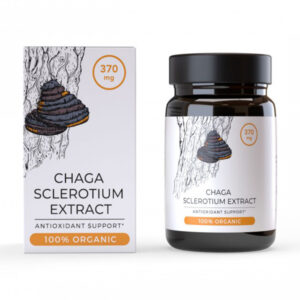 Endoca Εκχύλισμα Μανιταριού Chaga 370mg 30caps